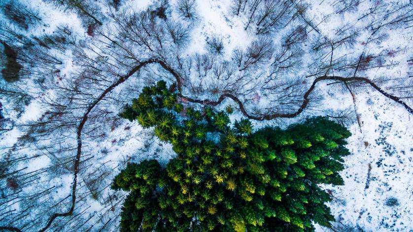 Dronestagram drone photography competition 2016