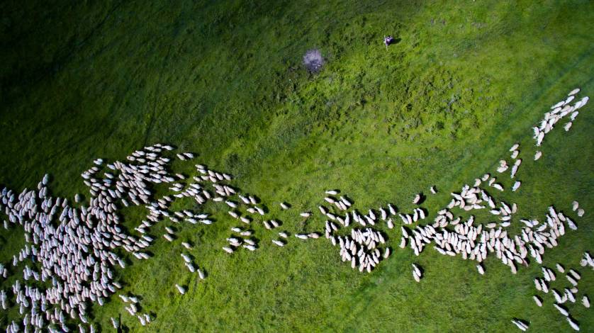Dronestagram drone photography competition 2016