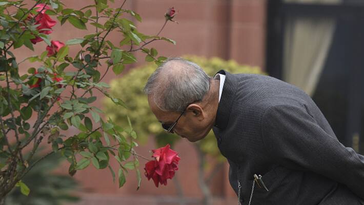 Pranab Mukherjee to be divided Equaly LIC Jeevan Akshay Plan beetween his son and daughter BSS Pranab Mukherjee to be divided Equaly LIC Jeevan Akshay Plan beetween his son and daughter BSS