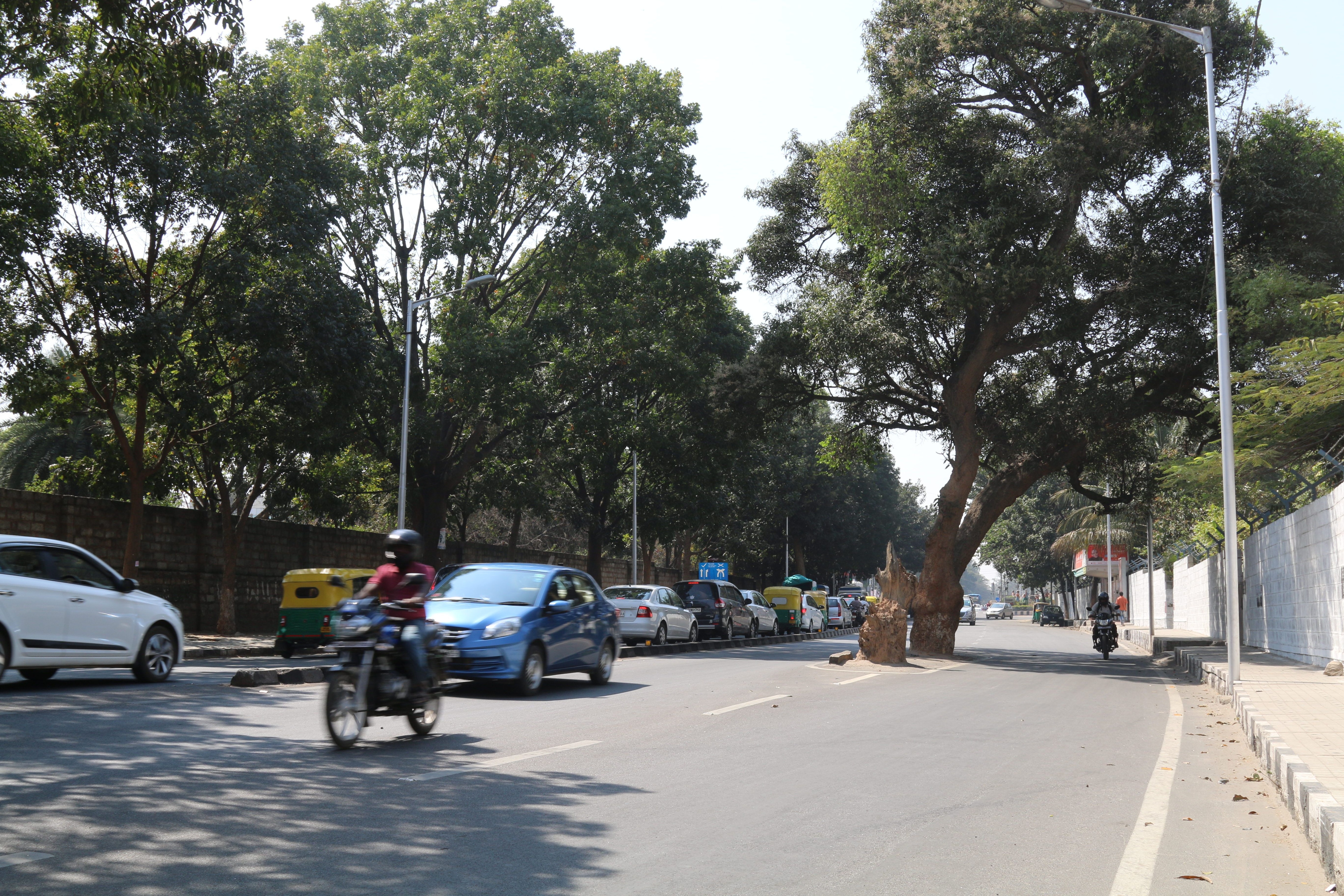 trees going to be cut for road widening
