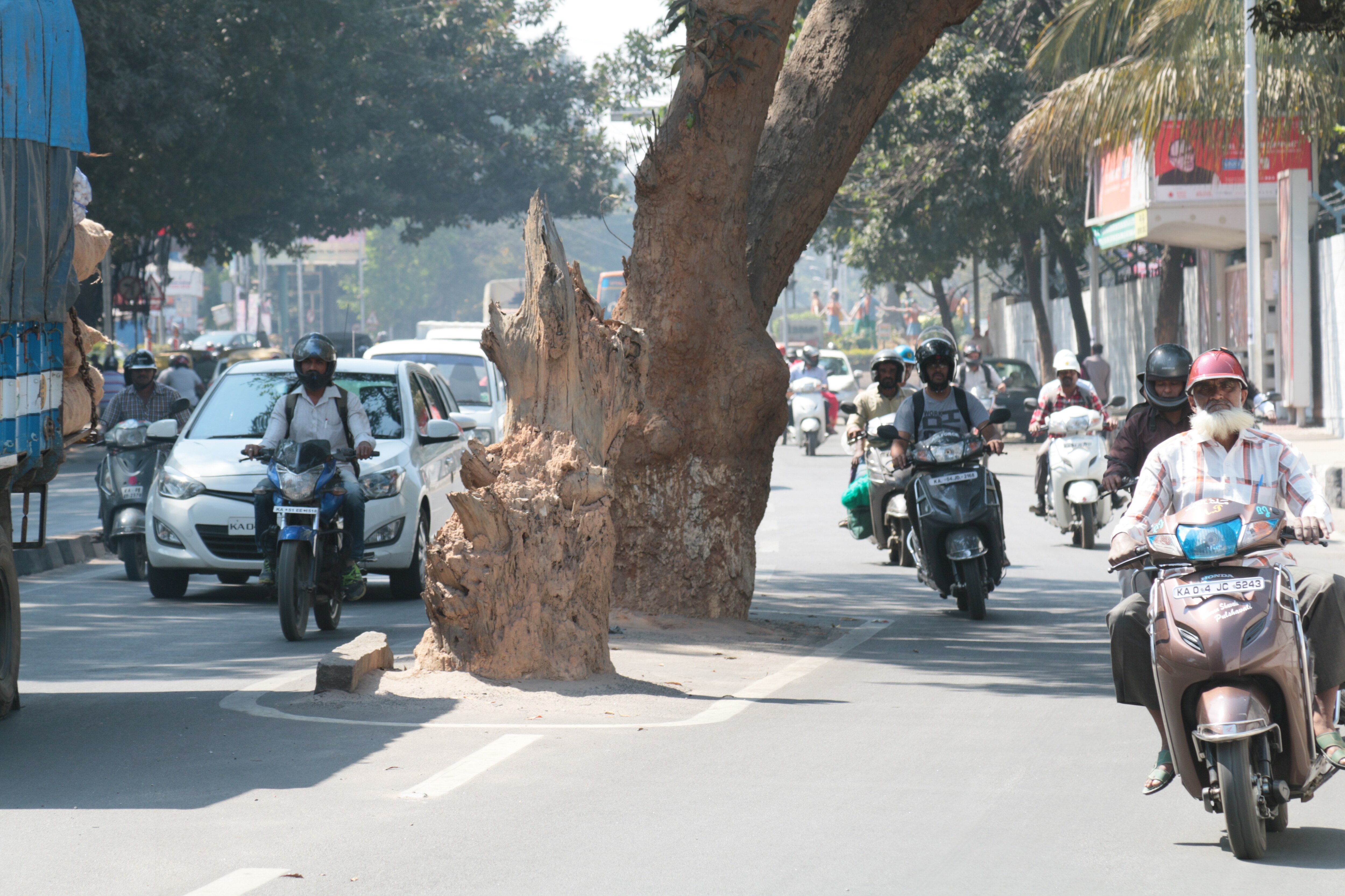 trees going to be cut for road widening