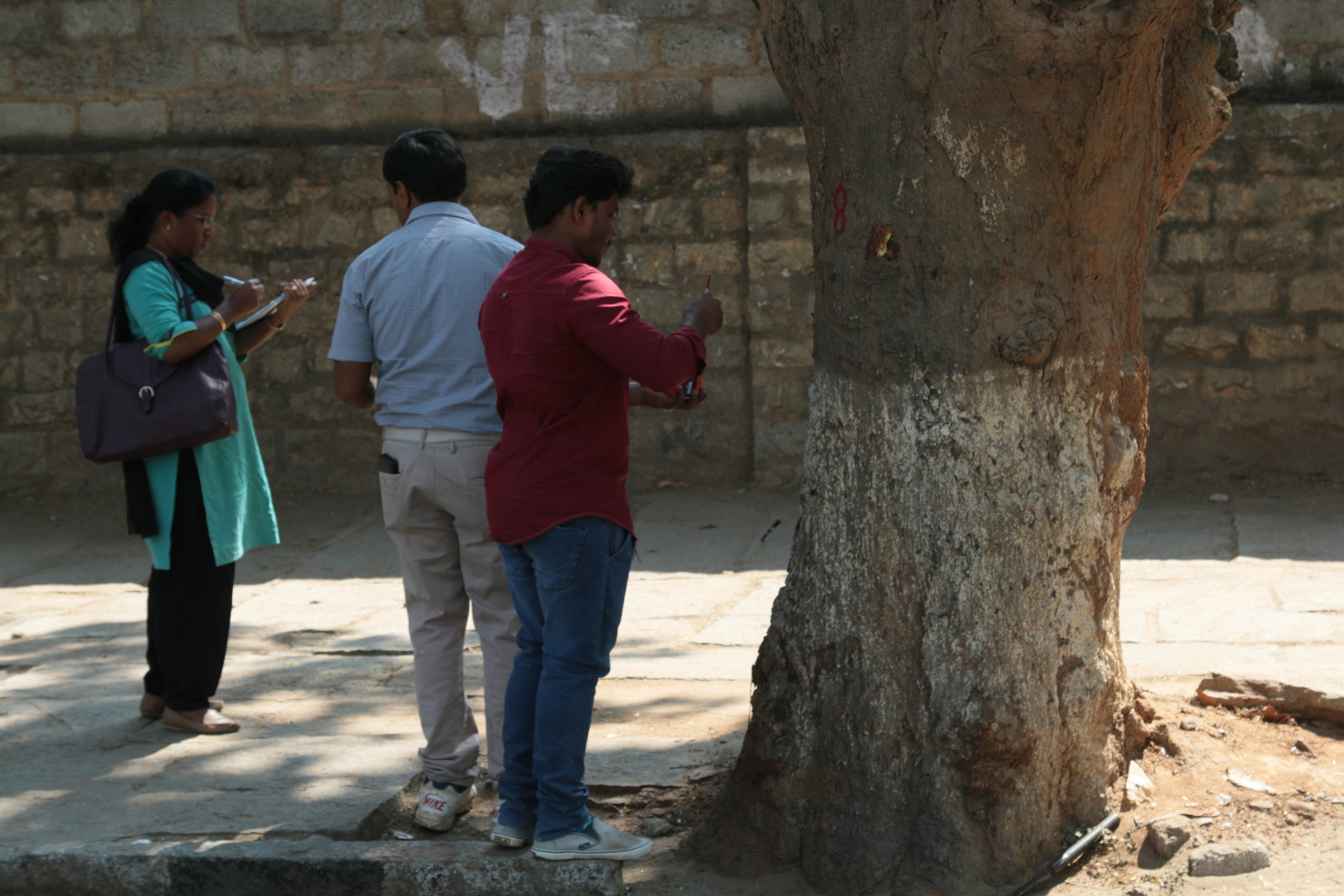 trees going to be cut for road widening