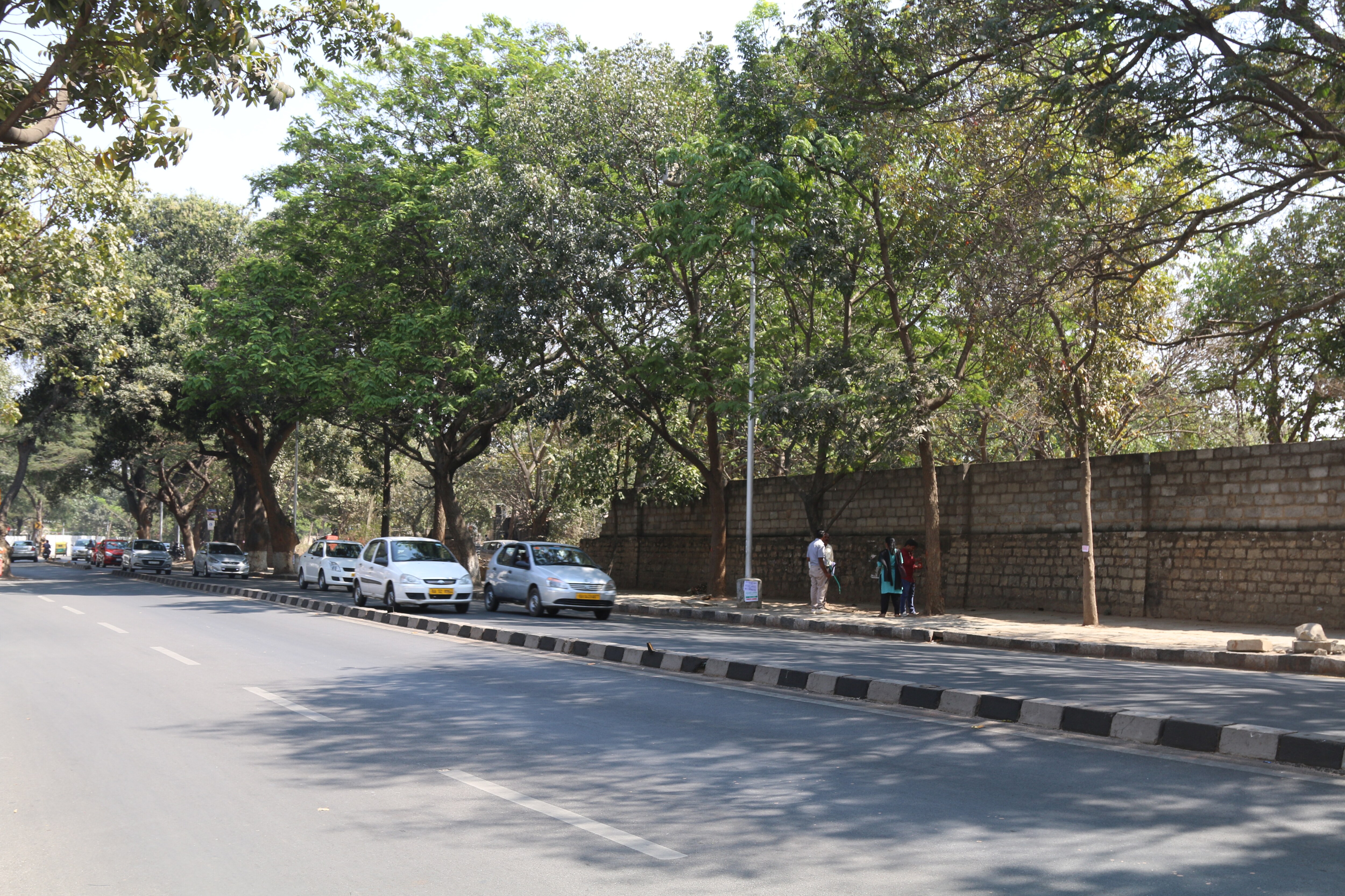 trees going to be cut for road widening
