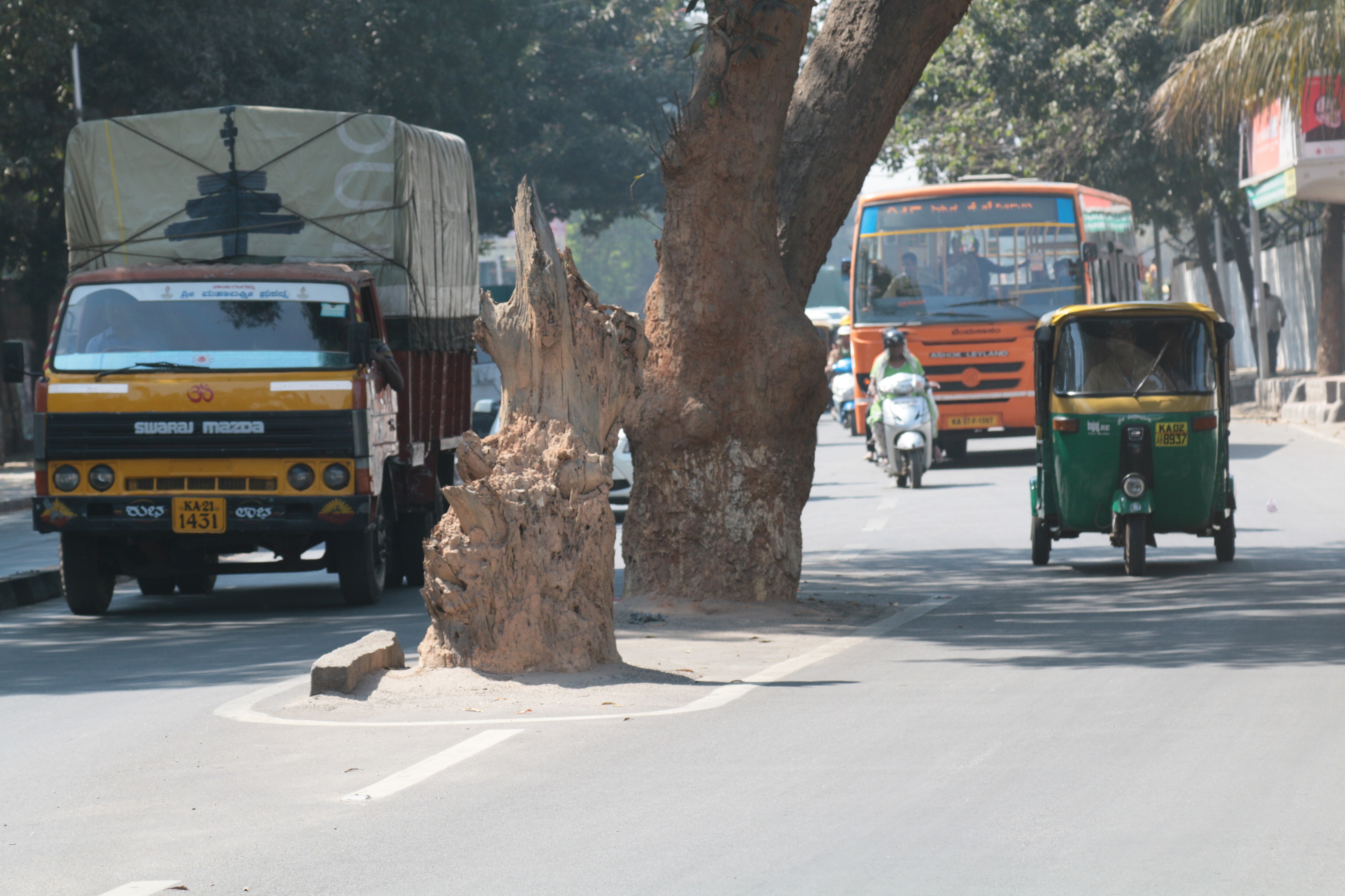 trees going to be cut for road widening