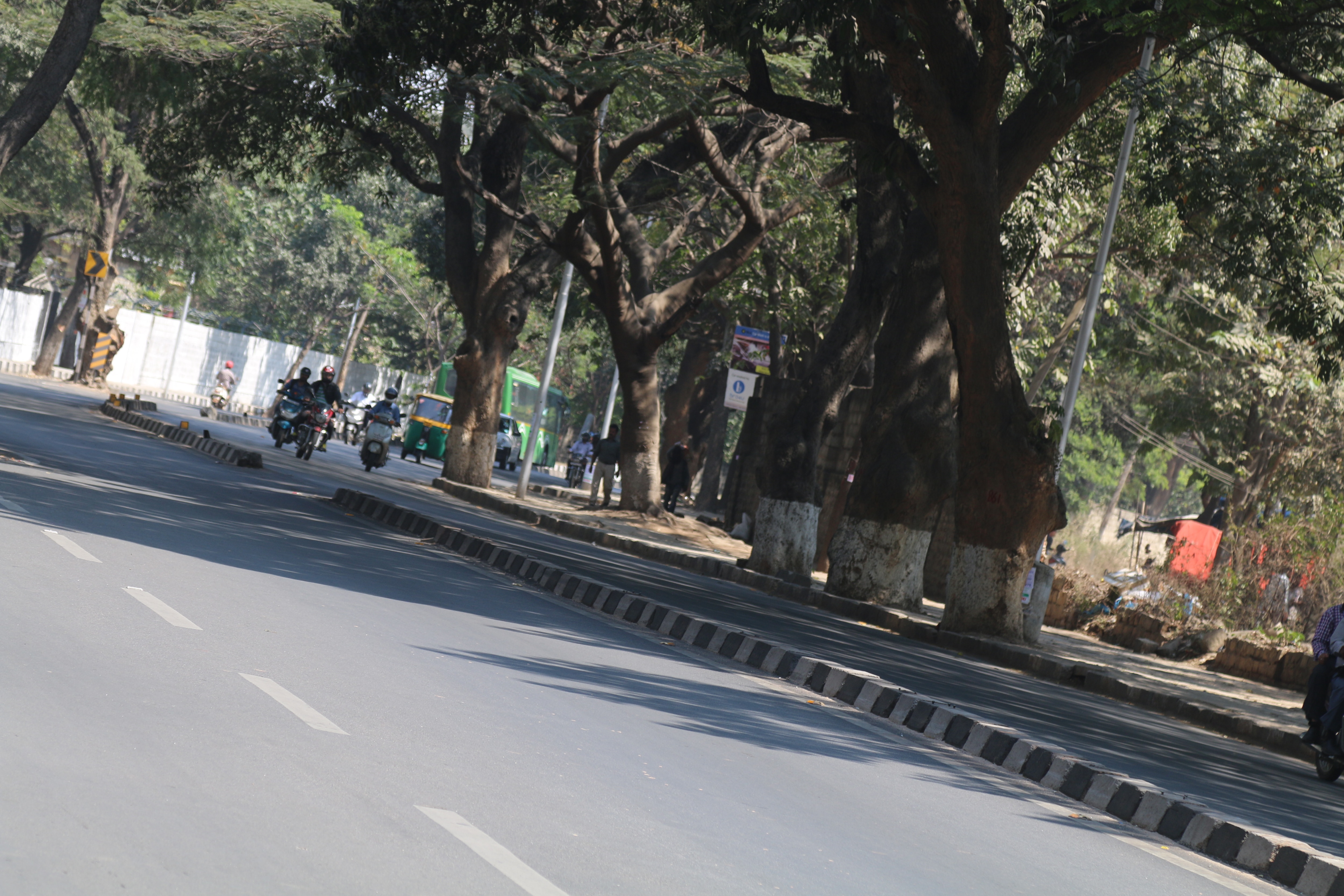 trees going to be cut for road widening