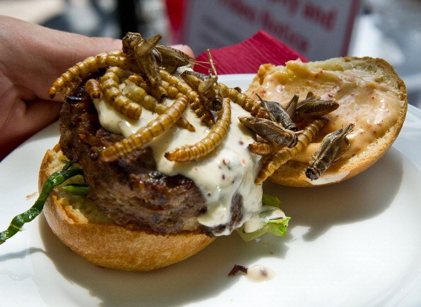 Insects - They are what they are for dinner