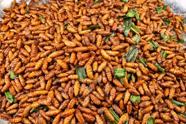 Insects - They are what they are for dinner