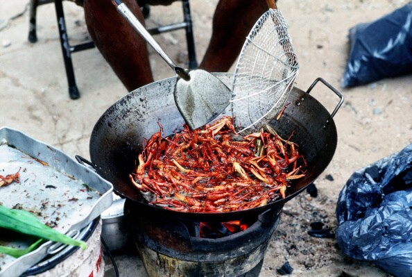 Insects - They are what they are for dinner