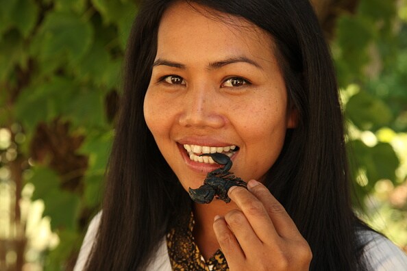 Insects - They are what they are for dinner