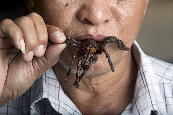 Insects - They are what they are for dinner