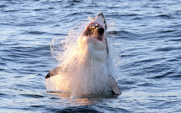 In pics: 10 of the world's deadliest surfing destinations