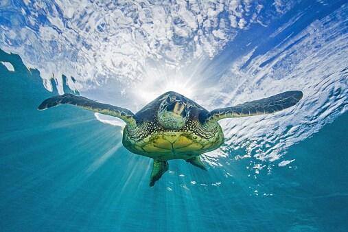 trip planing details of Maldives