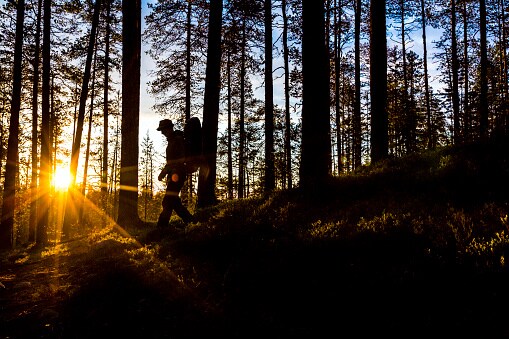 World Photography Day: Try these tricks to capture your favourite moment in pics-snj