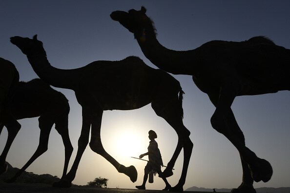 Bizarre and surprising 15 photos you need to see right now