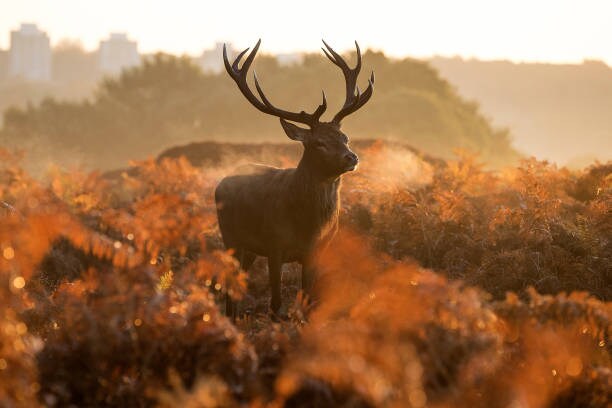 Bizarre and surprising 15 photos you need to see right now