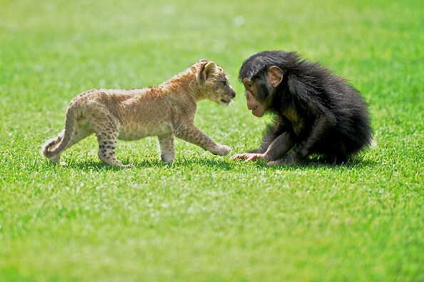 19 Best images of this week