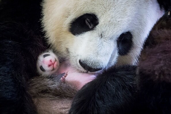 19 Best images of this week