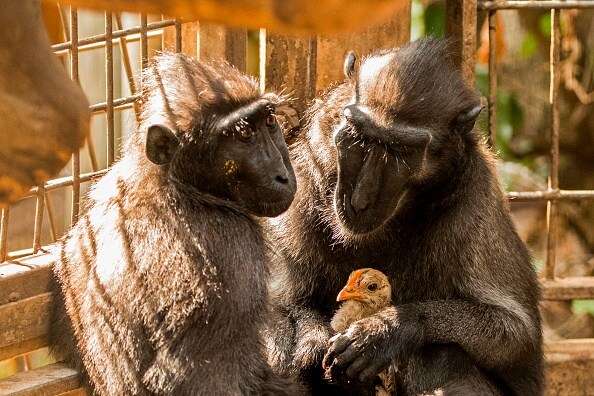 19 Best images of this week