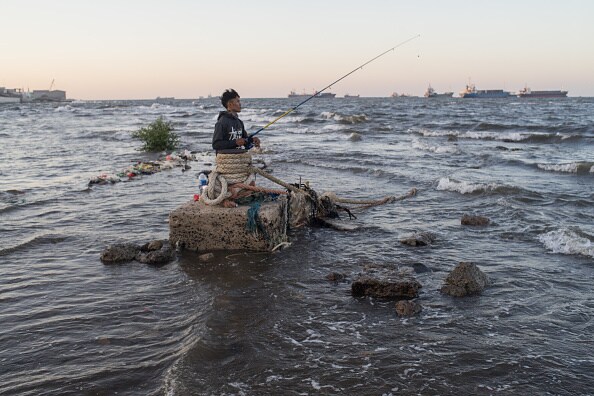 19 Best images of this week