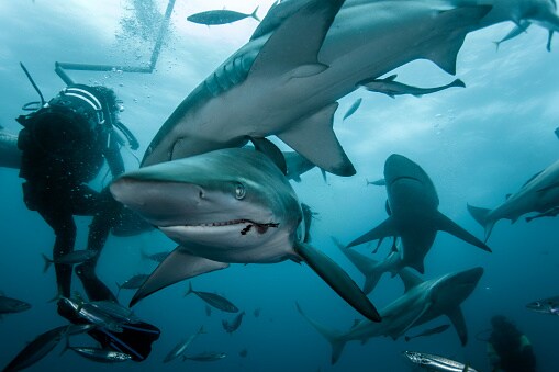 Bucket list 20 Things you must do before you die