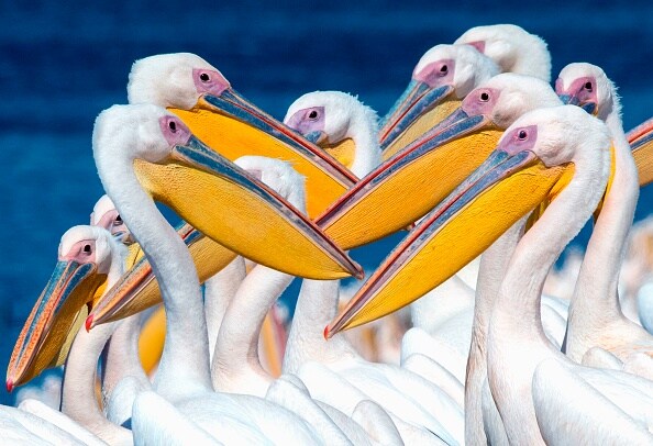 Striking and unusual 18 photo news you shouldnt miss