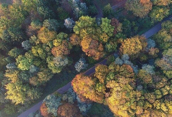 Striking and unusual 18 photo news you shouldnt miss