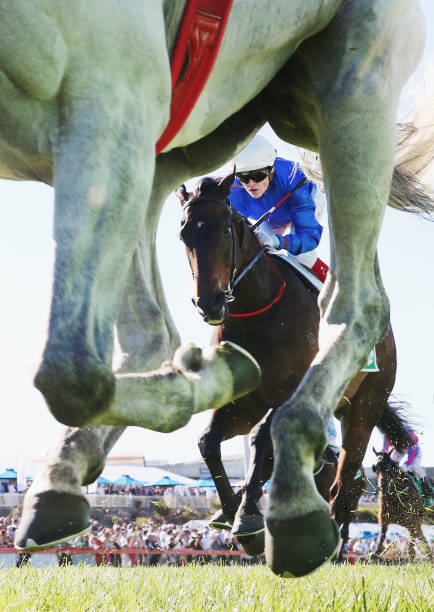 20 best photos of the week from the world of sports