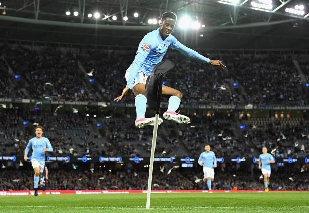 20 best photos of the week from the world of sports