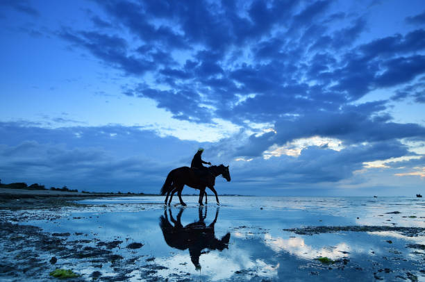20 best photos of the week from the world of sports