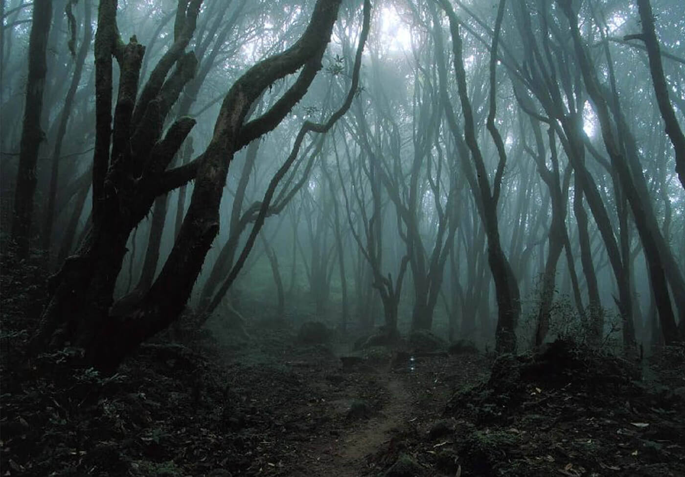 Dare to visit these 15 haunted places in the world that can make you shiver