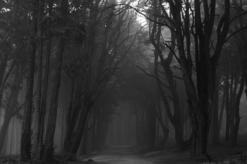 unknown facts of Death Doll island BJC