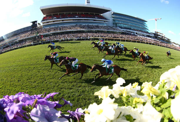 17 best photos from the wold of sports you shouldn't miss