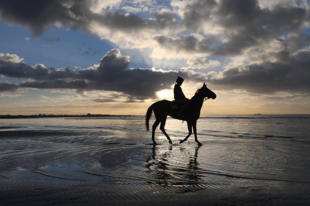17 best photos from the wold of sports you shouldn't miss