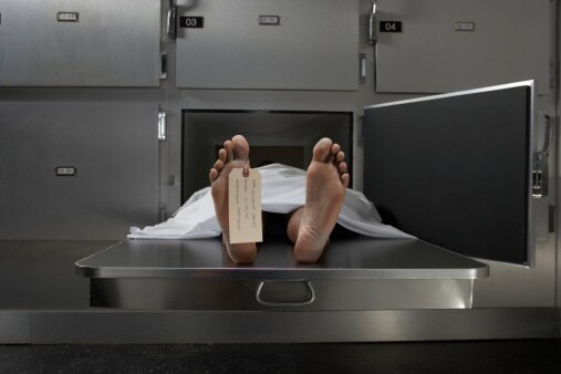 11 mind blowing facts you didn't even know about death