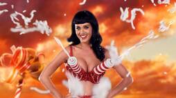 Pop star Katy Perry accused of exposing 'Teenage Dream' male model private parts at party