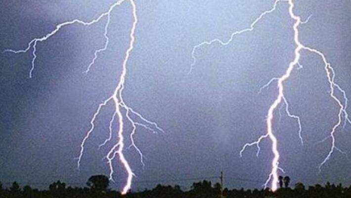 narrow escape for family from lightening in kollam coconut tree saves family narrow escape for family from lightening in kollam coconut tree saves family
