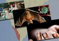 Nipah virus No compensation Kerala govt even after one year