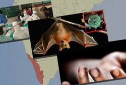 Nipah virus No compensation Kerala govt even after one year