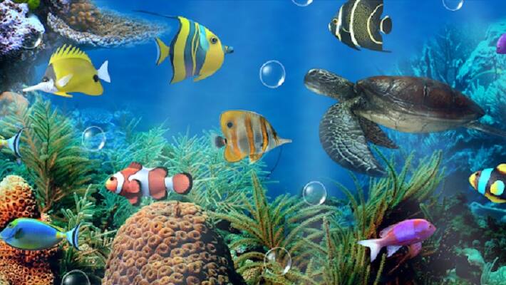 Abu Dhabi to future largest aquarium gcw Abu Dhabi to future largest aquarium gcw