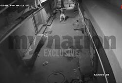 Watch: Thief dances before breaking into shop in Delhi