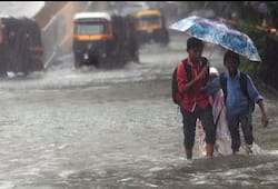 Kerala rains yellow alert heavy rainfall Idukki Wayanad districts Met department loss devastation