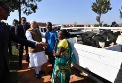 Why PM Narendra Modi gifted 200 cows to a ramshackle village in Rwanda?