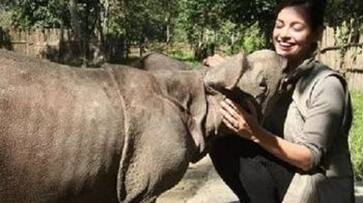 Dia Mirza adopted two leopard cubs back in 2010, she now has a baby Rhino named after her