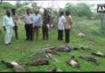 24 peacocks found dead in two districts of Telangana within the span of 10 days.