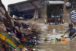 14 more die in Uttar Pradesh rains; toll rises to 106