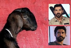 Goat gang rape John Abraham wants capital punishment for guilty Farhan Akhtar shocked
