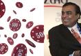 Fortune 500: 7 Indian companies on list; Mukesh Ambani's Reliance stays on top, IOC among PSUs make it to list