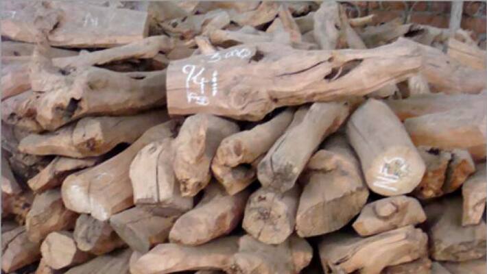 Sandalwood recovers by Forest officials in Marayur Sandalwood recovers by Forest officials in Marayur