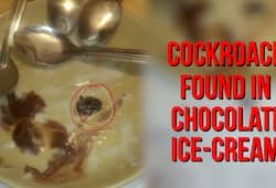 Karnataka: Cockroach served with ice cream in Bengaluru