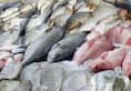 Goa government stop checking fish consignments State borders